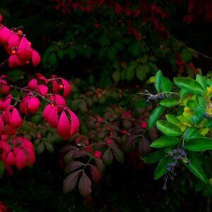 Betsy Johnson Purple Sequin Dress vintage evening dress purple mid length size 4